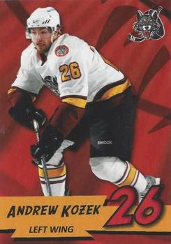 2010-11 Vienna Beef Chicago Wolves (AHL) #8 Andrew Kozek Front