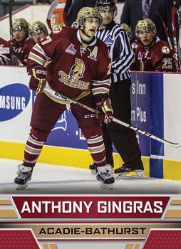 2014-15 Acadie-Bathurst Titan (QMJHL) #21 Anthony Gingras Front