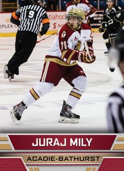 2014-15 Acadie-Bathurst Titan (QMJHL) #27 Juraj Mily Front