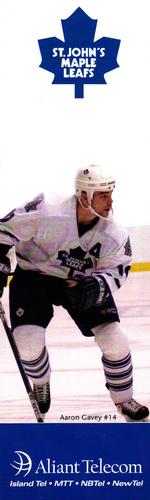 2002-03 St. John's Maple Leafs (AHL) #NNO Aaron Gavey Front
