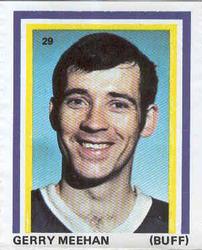 1972-73 Eddie Sargent NHL Players Stickers #29 Gerry Meehan Front
