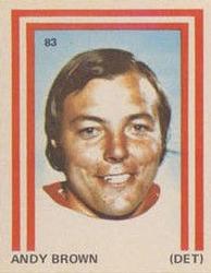 1972-73 Eddie Sargent NHL Players Stickers #83 Andy Brown Front