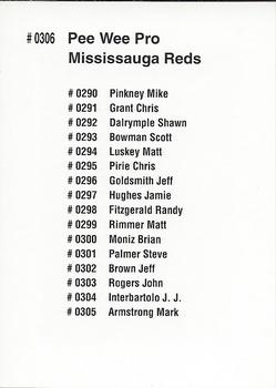 1992 Quebec International Pee-Wee Tournament #0306 Mississauga Reps Back