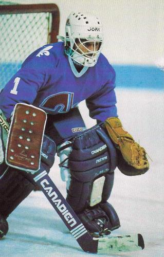 1984-85 Quebec Nordiques Postcards #NNO Richard Sevigny Front