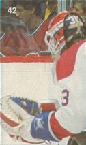 1987-88 Vachon Montreal Canadiens Stickers #42 Patrick Roy Front