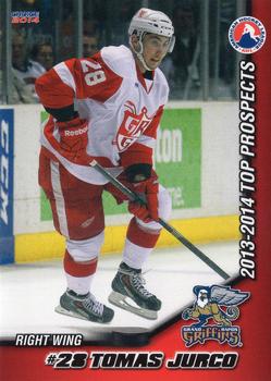 2013-14 Choice AHL Top Prospects #12 Tomas Jurco Front