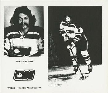1972-73 Ottawa Nationals (WHA) #NNO Mike Amodeo Front