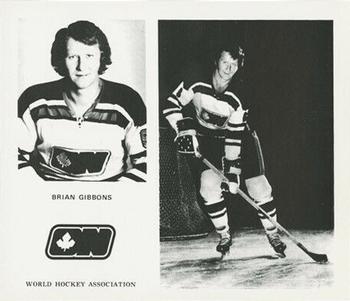1972-73 Ottawa Nationals (WHA) #NNO Brian Gibbons Front