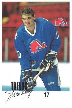 1988-89 Quebec Nordiques #NNO Trevor Stienburg Front