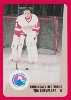 1989/90 Adirondack Red Wings pocket schedule AHL