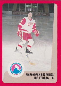 1988-89 ProCards Adirondack Red Wings (AHL) #NNO Joe Ferras Front