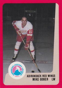 1988-89 ProCards Adirondack Red Wings (AHL) #NNO Mike Gober Front