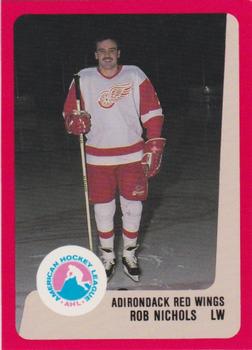 1988-89 ProCards Adirondack Red Wings (AHL) #NNO Rob Nichols Front