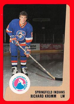 1988-89 ProCards Springfield Indians (AHL) #NNO Richard Kromm Front