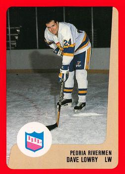 1988-89 ProCards Peoria Rivermen (IHL) #NNO Dave Lowry Front