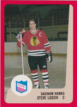 1988-89 ProCards Saginaw Hawks (IHL) #NNO Steve Ludzik Front