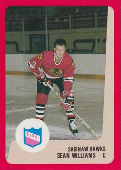 1988-89 ProCards Saginaw Hawks (IHL) #NNO Sean Williams Front