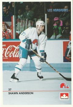 1990-91 Quebec Nordiques Postcards #NNO Shawn Anderson Front