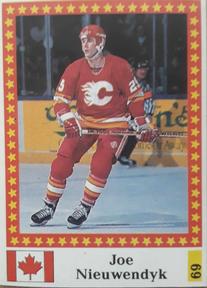 1991 Semic Hokej MS (Czechoslovakian) Stickers #69 Joe Nieuwendyk Front