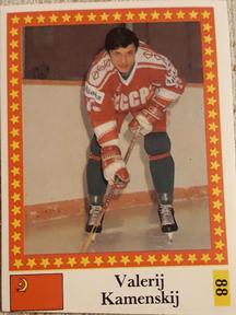 1991 Semic Hokej MS (Czechoslovakian) Stickers #88 Valeri Kamensky Front