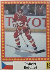 1991 Semic Hokej MS (Czechoslovakian) Stickers #223 Robert Reichel Front