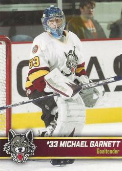 2006-07 Chase Chicago Wolves (AHL) #10 Michael Garnett Front
