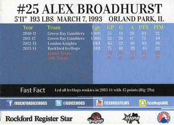 2014-15 Rockford Register Star Rockford IceHogs (AHL) #19 Alex Broadhurst Back