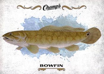 2015-16 Upper Deck Champ's - Fish #F-4 Bowfin Front