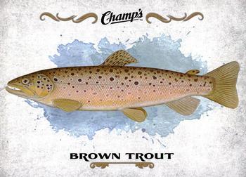 2015-16 Upper Deck Champ's - Fish #F-5 Brown Trout Front