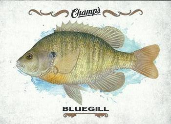 2015-16 Upper Deck Champ's - Fish #F-10 Bluegill Front