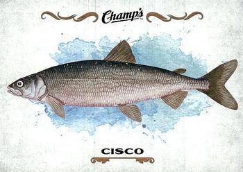 2015-16 Upper Deck Champ's - Fish #F-11 Cisco Front