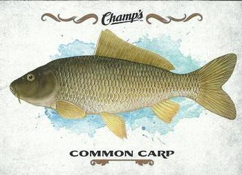 2015-16 Upper Deck Champ's - Fish #F-13 Common Carp Front