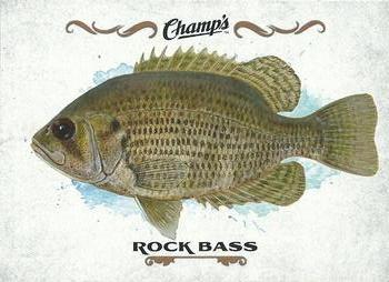 2015-16 Upper Deck Champ's - Fish #F-21 Rock Bass Front