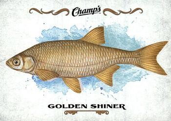 2015-16 Upper Deck Champ's - Fish #F-27 Golden Shiner Front