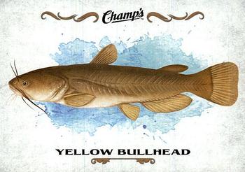 2015-16 Upper Deck Champ's - Fish #F-30 Yellow Bullhead Front
