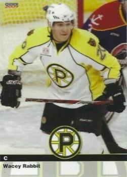 2008-09 Choice Providence Bruins (AHL) #15 Wacey Rabbit Front