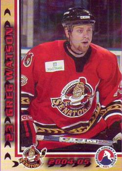 2004-05 Binghamton Senators (AHL) #NNO Greg Watson Front