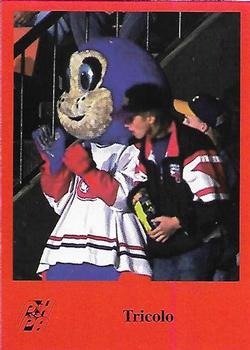 1993-94 Fredericton Canadiens (AHL) #NNO Tricolo Front