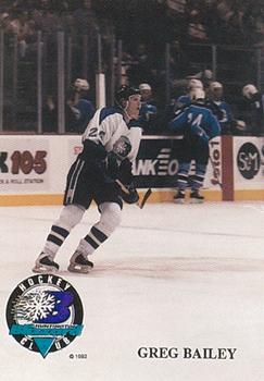 1993-94 Huntington Blizzard (ECHL) #NNO Greg Bailey Front