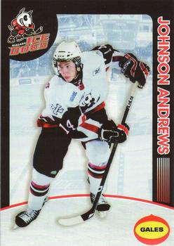 2008-09 Niagara IceDogs (OHL) #2 Johnson Andrews Front