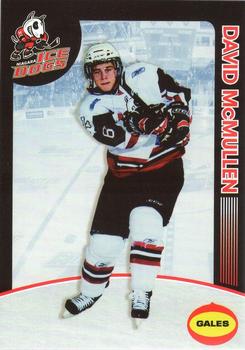 2008-09 Niagara IceDogs (OHL) #13 David McMullen Front