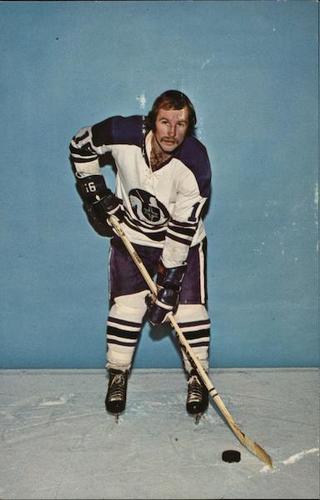 1973-74 Cleveland Crusaders (WHA) Postcards #NNO Grant Erickson Front