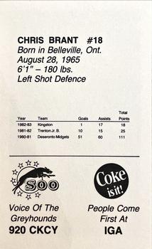 1983-84 Sault Ste. Marie Greyhounds (OHL) #3 Chris Brant Back