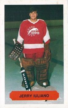 1983-84 Sault Ste. Marie Greyhounds (OHL) #12 Gerry Iuliano Front