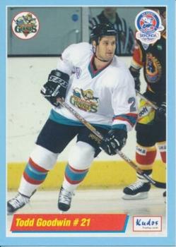 2000-01 British Ice Hockey Superleague BISL #NNO Todd Goodwin Front