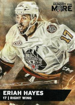 2015-16 Vienna Beef Chicago Wolves (AHL) #NNO Eriah Hayes Front