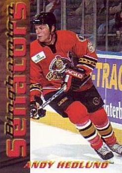 2003-04 Binghamton Senators (AHL) #NNO Andy Hedlund Front