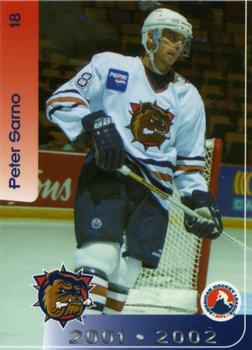 2001-02 Hamilton Bulldogs (AHL) #7 Peter Sarno Front