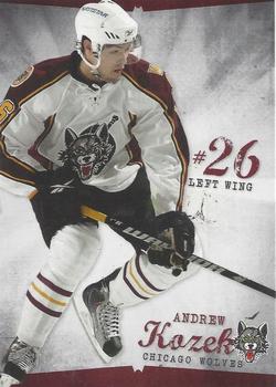 2009-10 Vienna Beef Chicago Wolves (AHL) #21 Andrew Kozek Front
