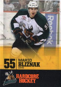2009-10 Manitoba Moose (AHL) #NNO Mario Bliznak Front